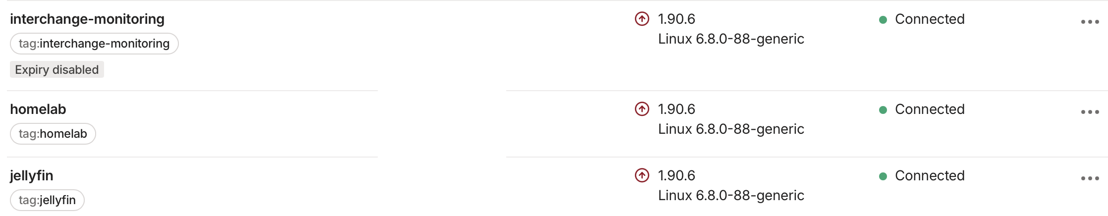 Screenshot of my different services running as Tailscale instances